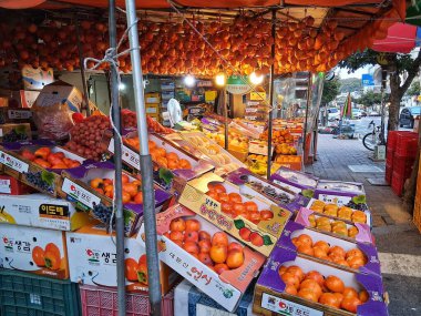 Sonbaharda hurma tezgahı