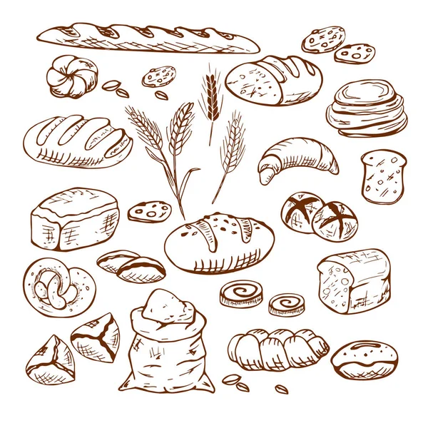 Ekmek vektörü çizilmiş el çizimi çizimi. Diğer buğday türleri, un taze ekmek. Glüten yemek fırını oymalı koleksiyon. — Stok Vektör