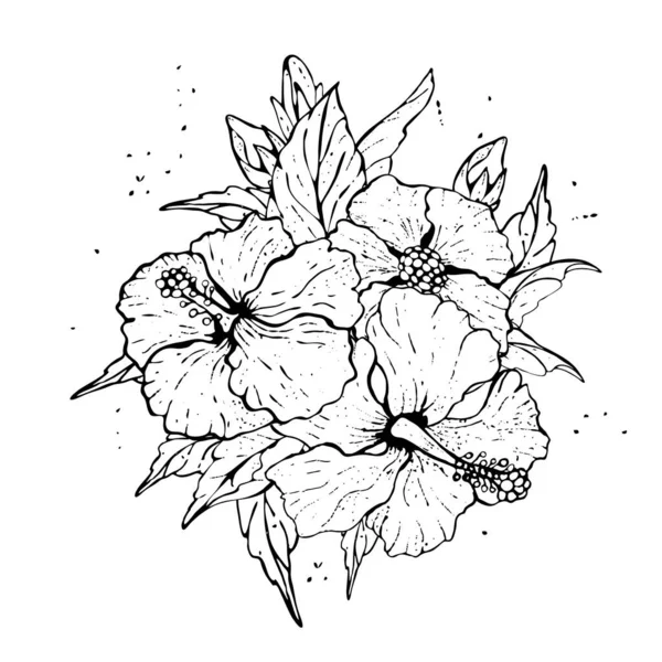 Dibujo de flores de hibisco y boceto de arte de línea sobre fondo blanco. — Vector de stock