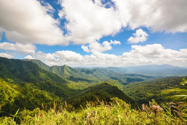 Görünüm noktası dağ Phu Soi Dao Nationnal Park