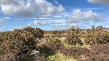Countryside landscape near Milquhanzie Hill in Perth and Kinross Scotland showing ridge summit with masts, walking paths, and nearby ancient standing stones.