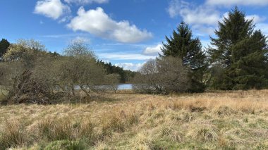 Countryside landscape near Milquhanzie Hill in Perth and Kinross Scotland showing ridge summit with masts, walking paths, and nearby ancient standing stones.