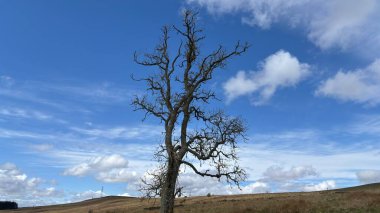 Countryside landscape near Milquhanzie Hill in Perth and Kinross Scotland showing ridge summit with masts, walking paths, and nearby ancient standing stones.