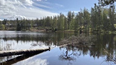 Countryside landscape near Milquhanzie Hill in Perth and Kinross Scotland showing ridge summit with masts, walking paths, and nearby ancient standing stones.