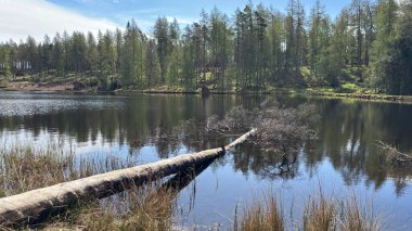 Countryside landscape near Milquhanzie Hill in Perth and Kinross Scotland showing ridge summit with masts, walking paths, and nearby ancient standing stones.