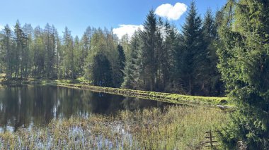 Countryside landscape near Milquhanzie Hill in Perth and Kinross Scotland showing ridge summit with masts, walking paths, and nearby ancient standing stones.