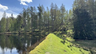 Countryside landscape near Milquhanzie Hill in Perth and Kinross Scotland showing ridge summit with masts, walking paths, and nearby ancient standing stones.