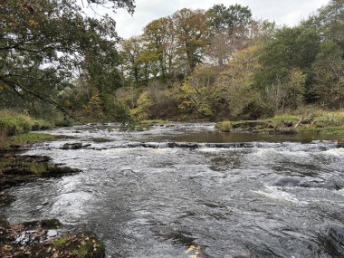 Avon Nehri Avon Vadisi 'nden Batı Lothian ve Falkirk arasında akar, dik kayalık duvarları, şelaleleri ve Torphichen Köprüsü' nün altındaki tahta patikaları vardır. İskoçya kırsal.