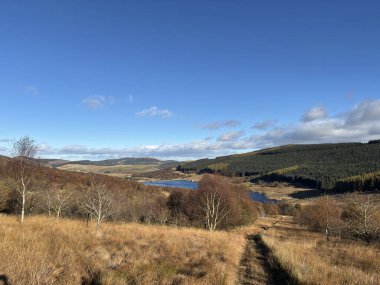 Glen Quey 'de geniş manzara manzaraları. Eski yerli ormanlar, çimli yamaçlar, dereler ve İskoçya' nın Ochil Hills bölgesindeki uzak tepeler..