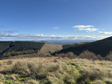 Glen Quey 'de geniş manzara manzaraları. Eski yerli ormanlar, çimli yamaçlar, dereler ve İskoçya' nın Ochil Hills bölgesindeki uzak tepeler..