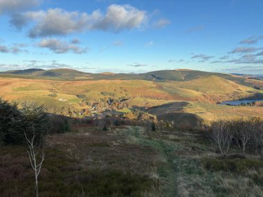 Glen Quey 'de geniş manzara manzaraları. Eski yerli ormanlar, çimli yamaçlar, dereler ve İskoçya' nın Ochil Hills bölgesindeki uzak tepeler..
