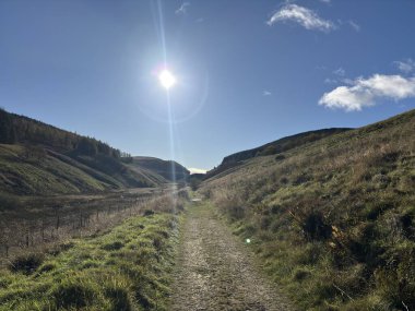 İskoçya 'daki Glen Quey' in yukarısındaki otlak yamaçlar, Glen Sherup rezervuarının sakin sularına bakan kenevir ve kayalarla kaplı, yuvarlanan Ochil arazisinin ortasında yükseliyor..