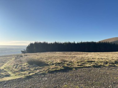 Yakındaki İskoç tepelerinden Glen Devon Vadisi 'ne, Glendevon rezervuarları, kıvrımlı nehir, Ochil Hills' in çimenli yamaçları ve aydınlık bir kış sabahı ormanlık alanlarının görüntüsü..