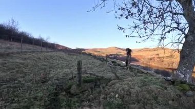 İskoçya 'nın Ochil Tepeleri' nin Glendevon bölgesinde geniş açık manzaralı dağ yürüyüşü sırasında görülen yuvarlanan tepeler ve rezervler.