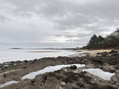 İskoçya 'da Forth of Forth' un kumlu ve kayalık kıyı şeridi gelgit kıyı şeridi boyunca Kuzey Denizi 'ne uzanan doğal bir kıyı şeridini gösteriyor.. 