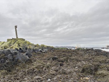 İskoçya 'da Forth of Forth' un kumlu ve kayalık kıyı şeridi gelgit kıyı şeridi boyunca Kuzey Denizi 'ne uzanan doğal bir kıyı şeridini gösteriyor.. 