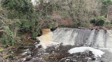 Leith Nehri 'nin suyu Edinburgh, İskoçya' dan akıyor..