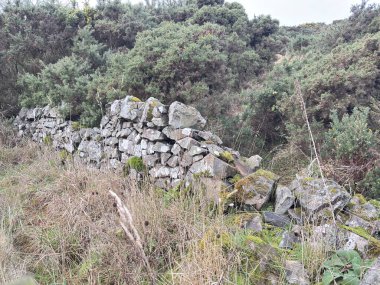 İskoçya 'nın Perthshire bölgesindeki yamaç perspektifleri kayan tepeler, yeşil çayırlar, uzak tepeler, ağaçlık alanlar ve geniş gökyüzü ile kırsal manzaralar sergiliyor.
