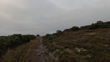 İskoçya 'nın Fife bölgesindeki tepe arazilerinde yürüyüş yaparken kayan tepeler, fundalıklar, yeşil alanlar, dağınık ağaçlar, açık manzaralar, uzak ufuklar ve doğal elementlerle tipik bir kır manzarası sergiliyoruz..