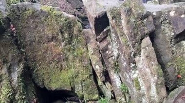 Hareshaw Linn Şelalesi Bellingham yakınlarındaki Hareshaw Yanığı 'nda akarsu çağlayan şelale, orman patikası ve İngiltere kırsalındaki doğal manzara.