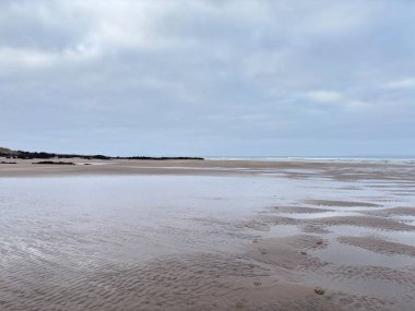 İskoçya 'daki Eyebroughy plajından deniz, gökyüzü ve ufukta doğal bir deniz manzarası olan Forth Firth' taki kayalık Fidra adasını gösteriyor..