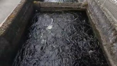 Pitlochry beton yerçekimi barajının bir parçası Tummel hidroelektrik şeması İskoç Perthshire kırsalındaki Loch Faskally yakınlarındaki Tummel Nehri 'nde somon balığı merdiveni olarak kullanılıyor..