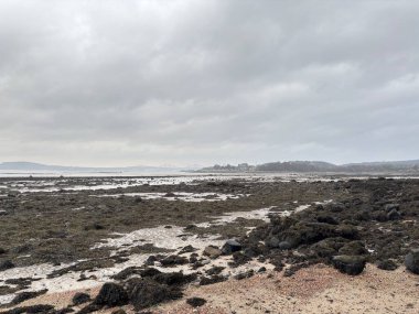 Fife sahilindeki Braefoot Körfezi 'ni çevreleyen engebeli kayalık kıyı şeridi İskoçya kışın doğal kaya oluşumlarını ve kışın deniz manzaralarını gösteriyor..