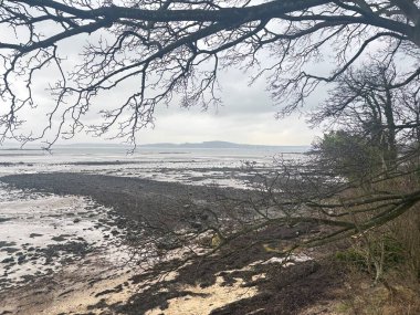 Fife sahilindeki Braefoot Körfezi 'ni çevreleyen engebeli kayalık kıyı şeridi İskoçya kışın doğal kaya oluşumlarını ve kışın deniz manzaralarını gösteriyor..