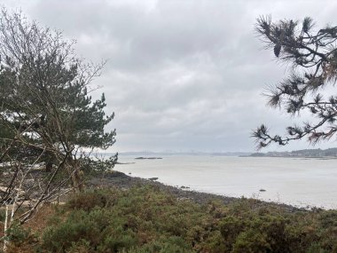 Fife sahilindeki Braefoot Körfezi 'ni çevreleyen engebeli kayalık kıyı şeridi İskoçya kışın doğal kaya oluşumlarını ve kışın deniz manzaralarını gösteriyor..