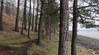 Fife sahilindeki Braefoot Körfezi 'ni çevreleyen engebeli kayalık kıyı şeridi İskoçya kışın doğal kaya oluşumlarını ve kışın deniz manzaralarını gösteriyor..