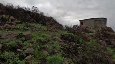 Fife sahilindeki Braefoot Körfezi 'ni çevreleyen engebeli kayalık kıyı şeridi İskoçya kışın doğal kaya oluşumlarını ve kışın deniz manzaralarını gösteriyor..