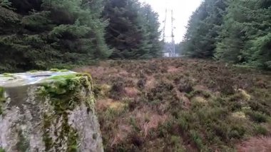 İskoçya sınırındaki Hartside Tepesi 'nin en üst manzarası trigonometri işaretleyicisi ve çevresindeki kırsal ve yükseltilerle iletişim kulesi de dahil..