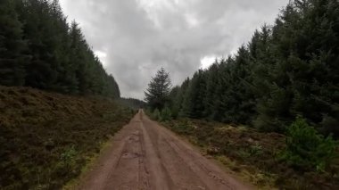 İskoçya 'nın Hartside Hill bölgesindeki orman arazisinde ağaçlar, yamaçlar, hendekler ve doğal manzaralar yer alıyor.