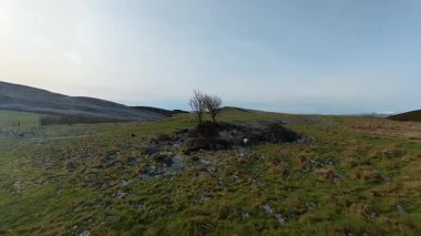 Perthshire İskoçya 'da Glenearn ve Glenearn Tepesi çevresindeki kırsal araziler Ochil Hills' in kuzey sınırında yer alıyor. Strath Earn vadisine bakan ormanlık, nehirler ve yuvarlanan arazilerle birlikte..