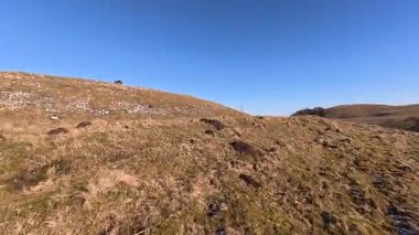 Perthshire, Glenearn yakınlarındaki Castle Law Hill 'in tepesindeki antik Pictish Hill harabelerinde kereste kaplı, vitrize edilmiş surlar, toprak bankaları, hendekler, iç ve dış taş duvarlar, Demir Çağı' ndan kalma yuvarlak evler yer alıyor.