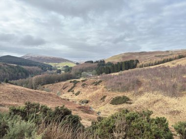 Glendevon, İskoçya yakınlarındaki Ochil Hills 'te Glen Devon manzara manzarası, vadi deresi, rezervuarlar, yuvarlanan tepeler ve kırsal ormanlık arazi.
