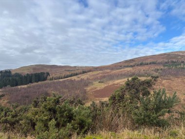 Glendevon, İskoçya yakınlarındaki Ochil Hills 'te Glen Devon manzara manzarası, vadi deresi, rezervuarlar, yuvarlanan tepeler ve kırsal ormanlık arazi.