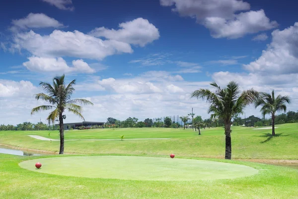 Campo de golf con palmeras — Foto de Stock