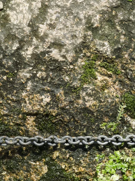 コケに覆われた岩のテクスチャ上のチェーン — ストック写真