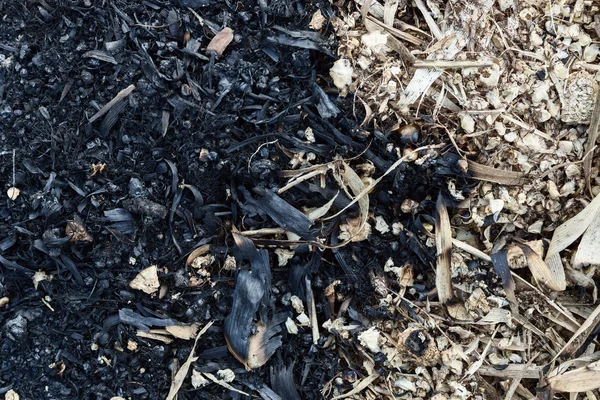 Ash and sawdust — Stock Photo, Image