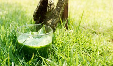 Detoks içecek yeşil çayır üzerinde