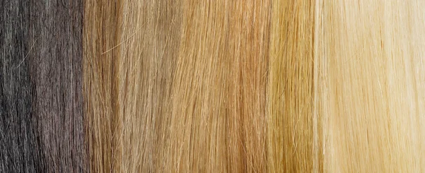 hair extension palette with color samples from blonde to black