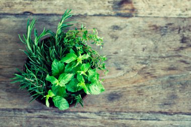 Ahşap masada kasede nane, kekik, biberiye taze ürün