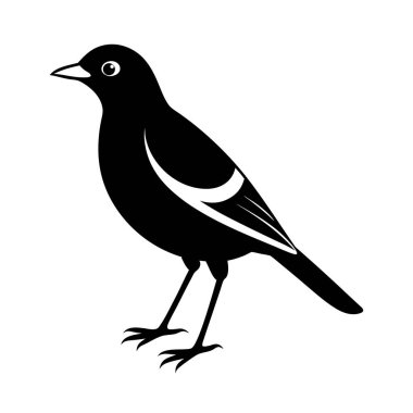 Düz Stil Mynah Şehir Kuşu Görünümü