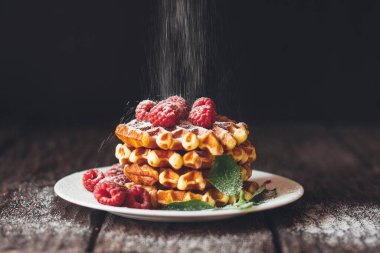 Tabağında ahududu olan taze pişmiş Belçika waffle 'ları. 