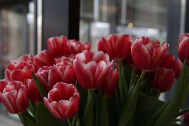 8 Mart için laleli pankart buketi