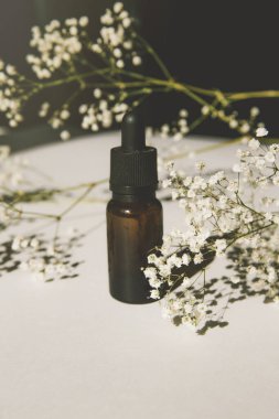 Cam şişede pipetli serum. Kadın derisi için temel yağ.