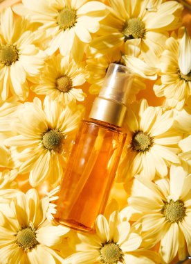 güzel papatya çiçekleri ve arka planda organik kozmetik