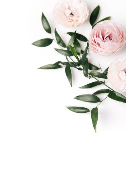 Beyaz arkaplanda yeşil yapraklı güzel pembe çiçekler, boşluk konseptini kopyala 