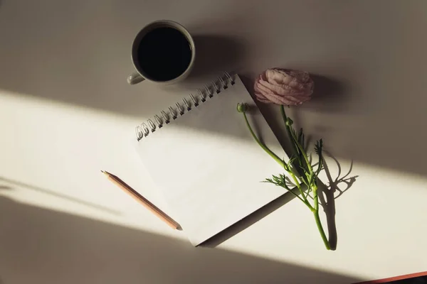 Xícara Café Com Flor Peônia Fundo Branco — Fotografia de Stock